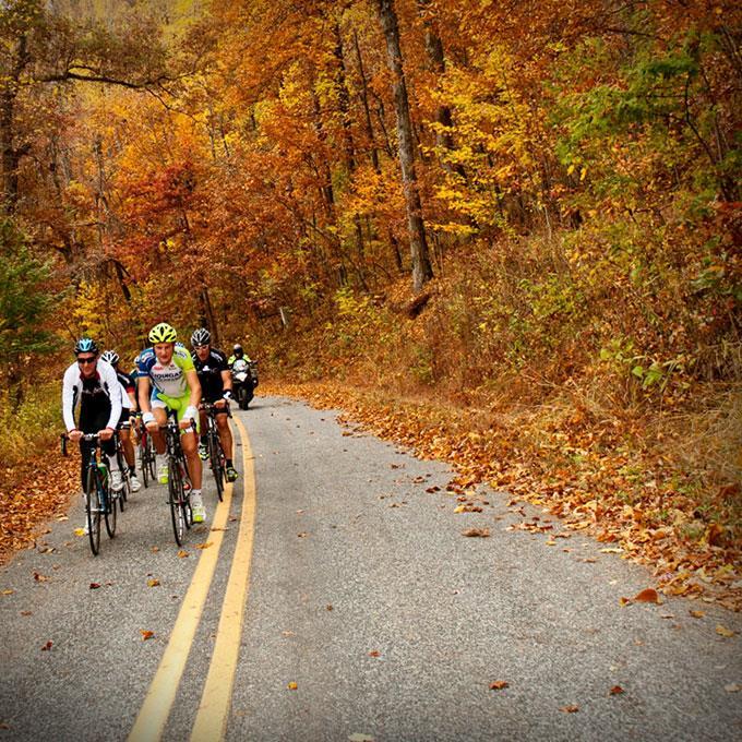 Hotel Domestique Travelers Rest Facilities photo